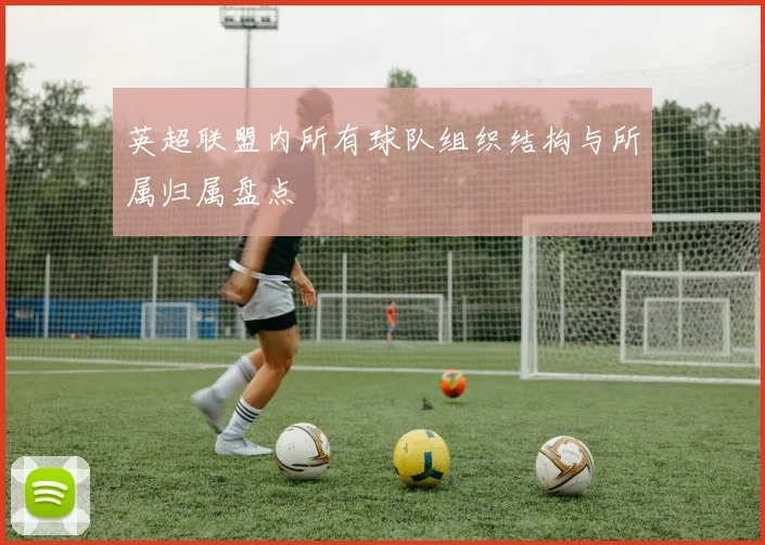 英超联盟内所有球队组织结构与所属归属盘点